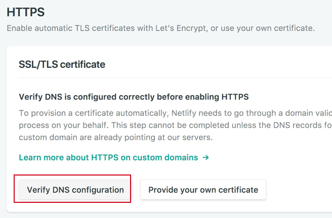 Netlify Verify DNS configuration